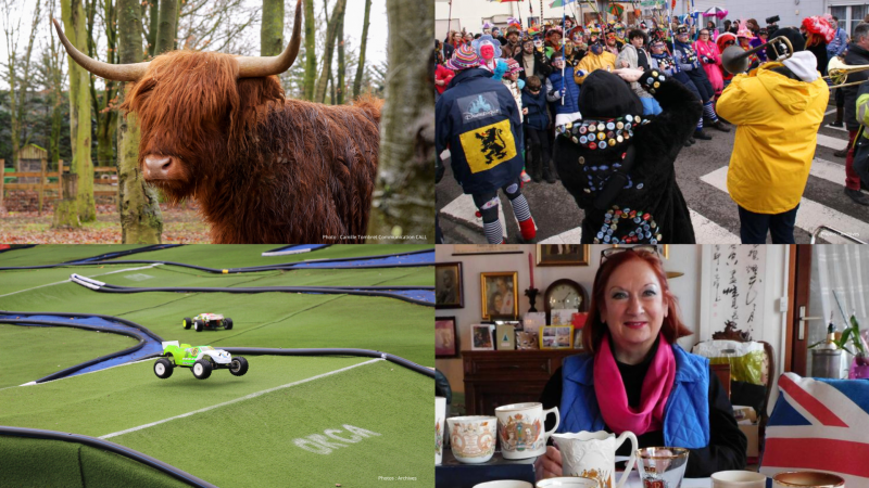 L’arrivée de deux vaches Highland à Bénifontaine. La saison carnavalesque qui bat son plein… Le week-end sera bon dans la région !