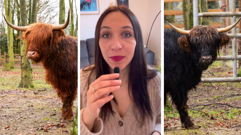 Les visiteurs ont pu les rencontrer lors de la réouverture du parc, le 14 février 2026.