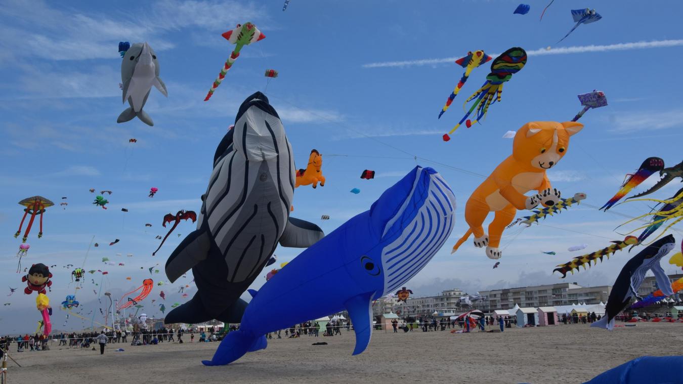  Les cerfsvolants reviendront à Berck en 2019  Le Reveil de Berck