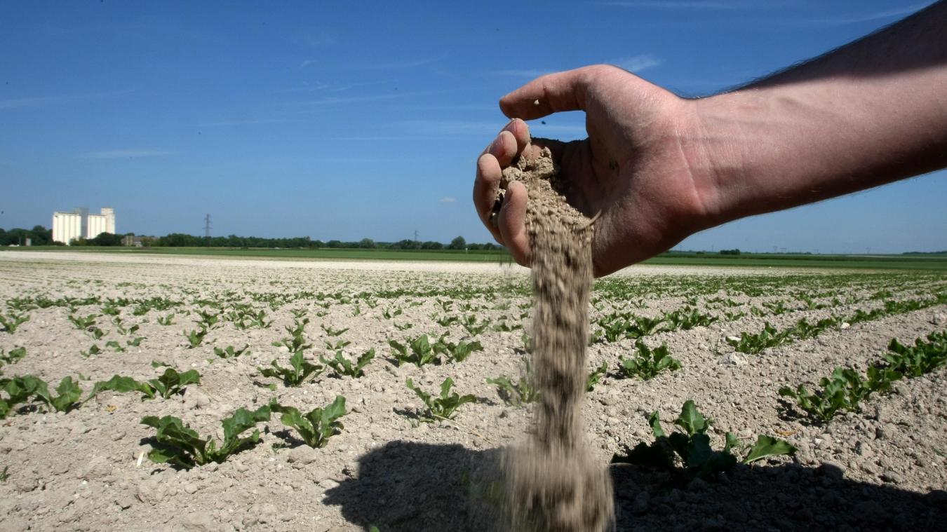 Boulogne Sur Mer Il N A Pas Plu Depuis 14 Jours Et Cela Risque De Durer