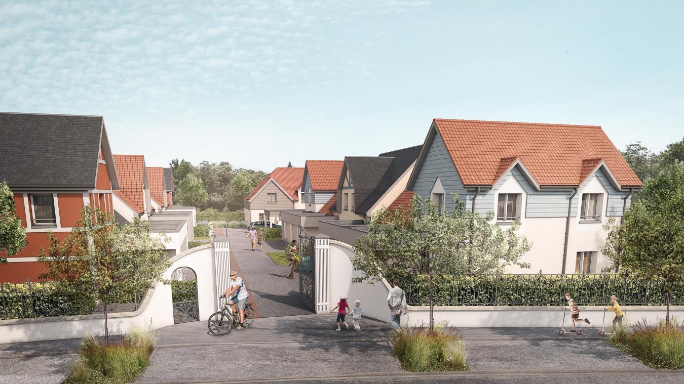 Règlementation Autour Du Poulailler Ambillou Site Officiel De La