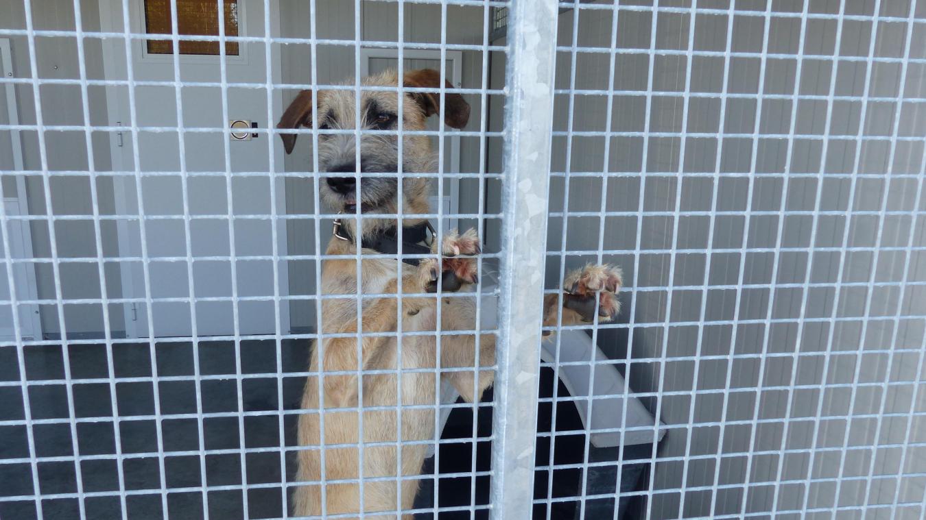 Téléchargement gratuit Images Premier Bilan Pour La Spa De La Vallee De La Lys dernière par