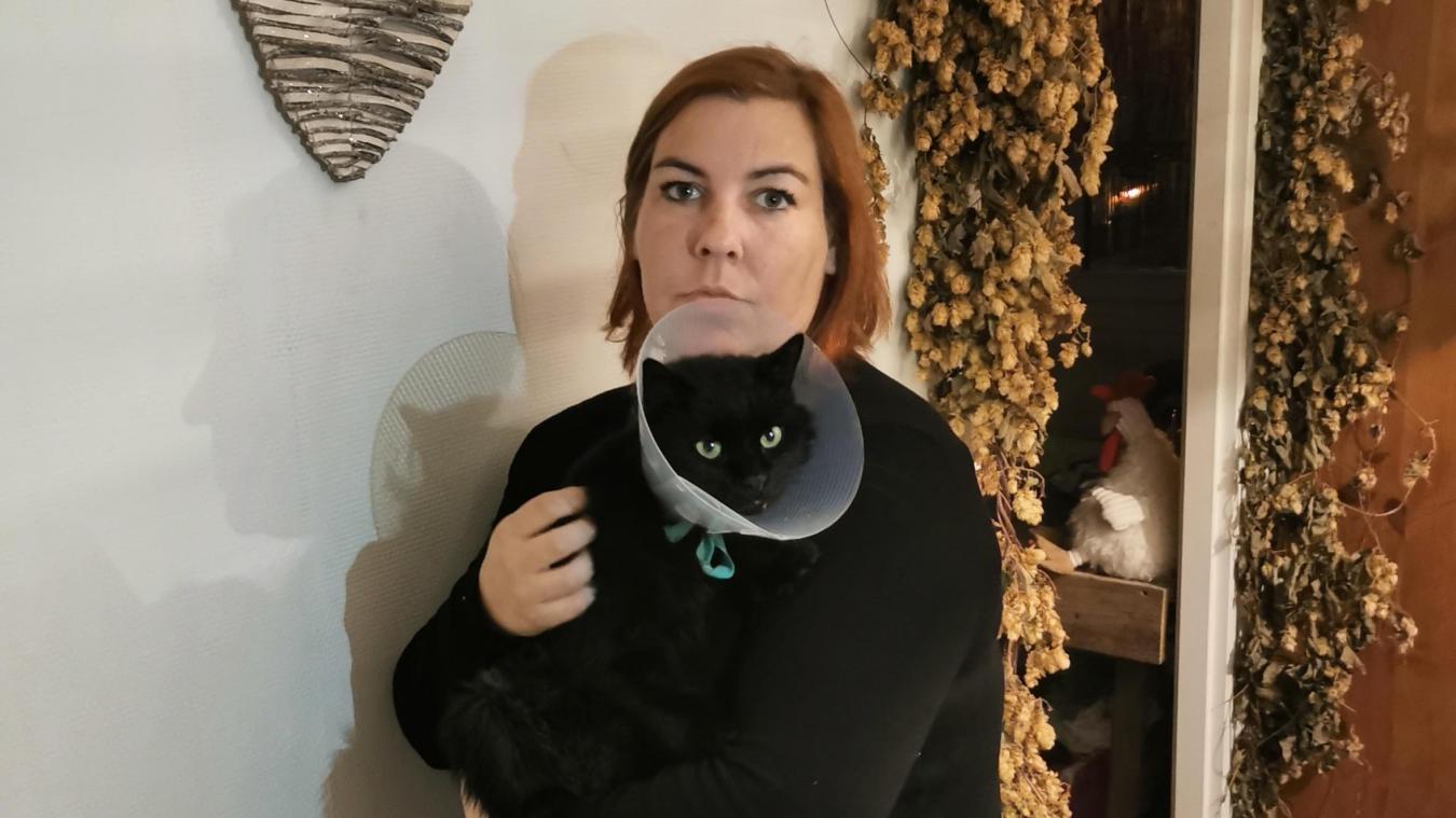 Beuvry Qui Tire Sur Les Chats Beuvry Qui Tire Sur Les Chats