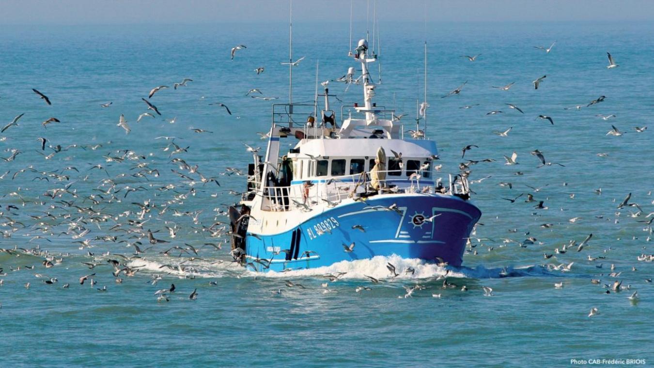Scarica Gratis Images Les Marins Pecheurs Les Mareyeurs Et Toute La Filiere Peche dernière par