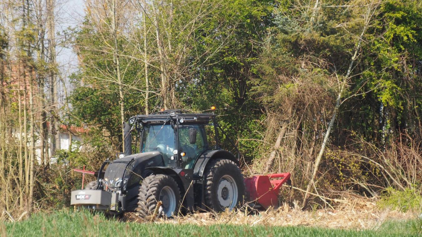 coquelles les migrants deloges pres de l ex conforama les arbres abattus dans la foulee