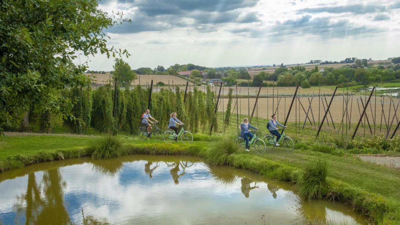 Partez à la découverte de la Flandre sur un parcours cyclable accessible à tous.