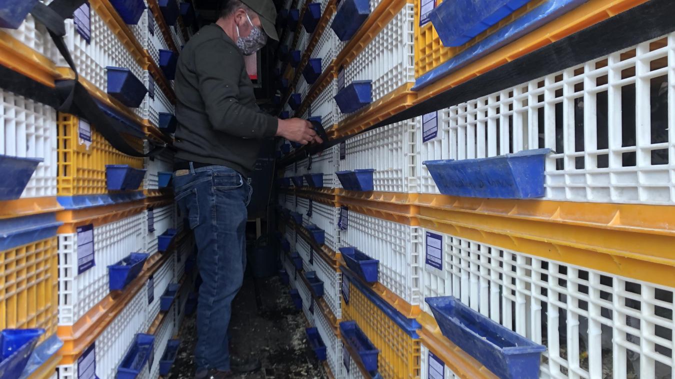 SaintOmer la saison reprend le 16 avril L'Indépendant du PasdeCalais