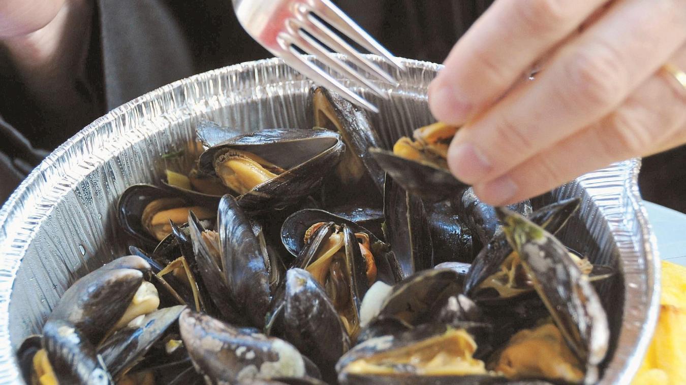 Ou Cueillir Des Moules Sur La Cote D'opale 2022
