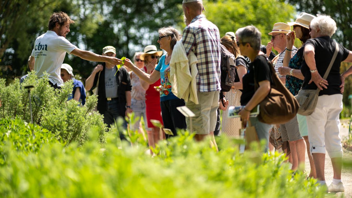 Le Jardin des plantes sauvages et le Jardin des plantes médicinales sont à découvrir avec un éducateur nature. Photo : Christophe Blondel, CBN de Bailleul.