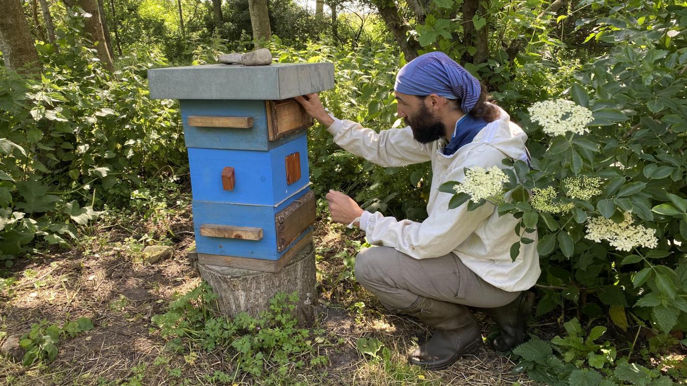 Guillaume Dufresnes : « Les abeilles ne sont que la partie émergée de l ...