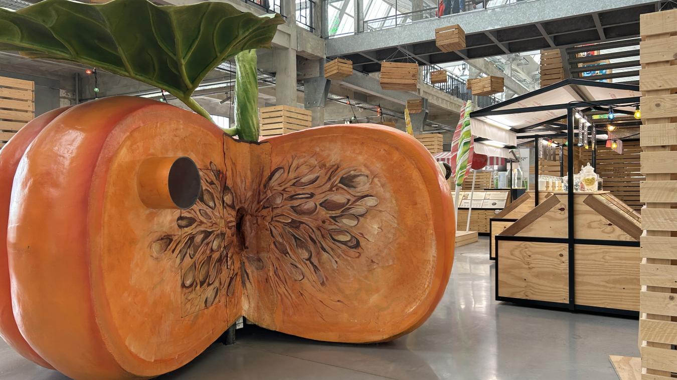 Actuellement, on peut visiter l’exposition « Qu’est-ce qu’on mange », à Cité Nature Arras.