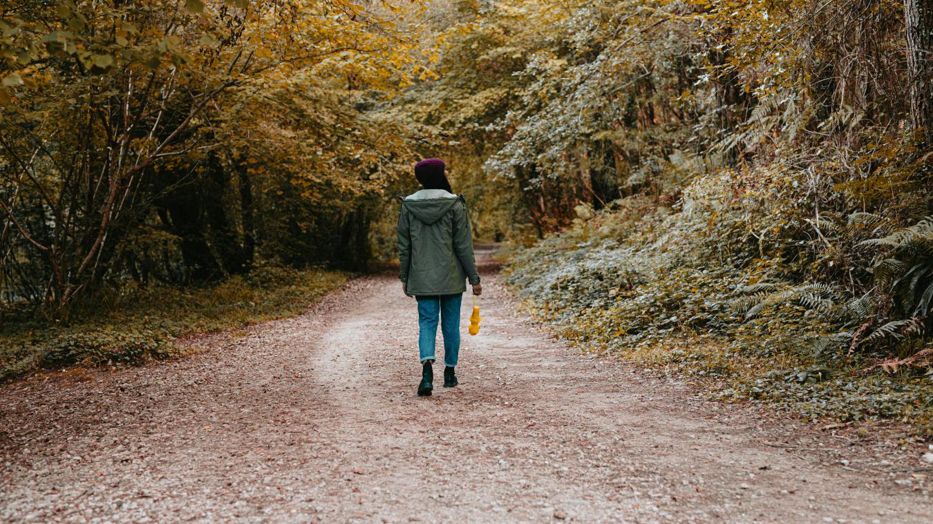 L’automne, on sort se balader et regarder les couleurs des paysages qui changent !