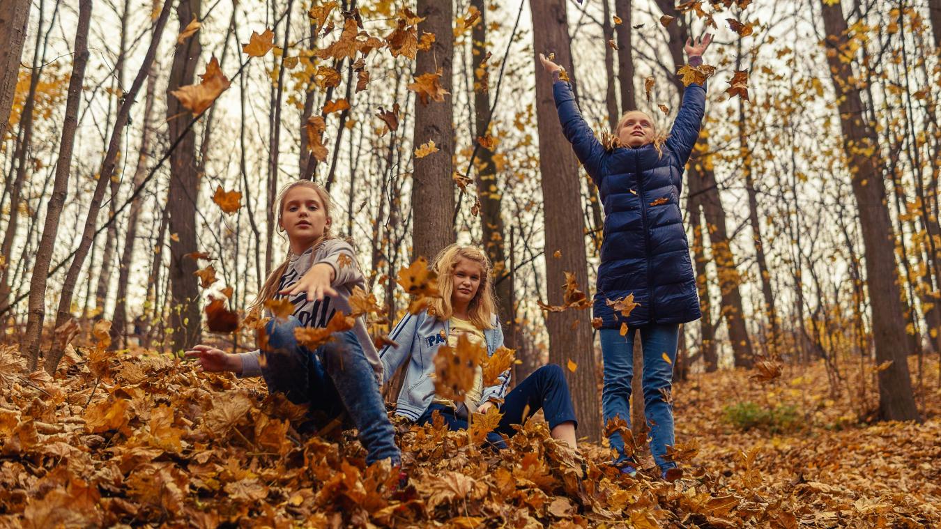 On peut aussi faire de longues balades en forêt et s’amuser dans les feuilles !