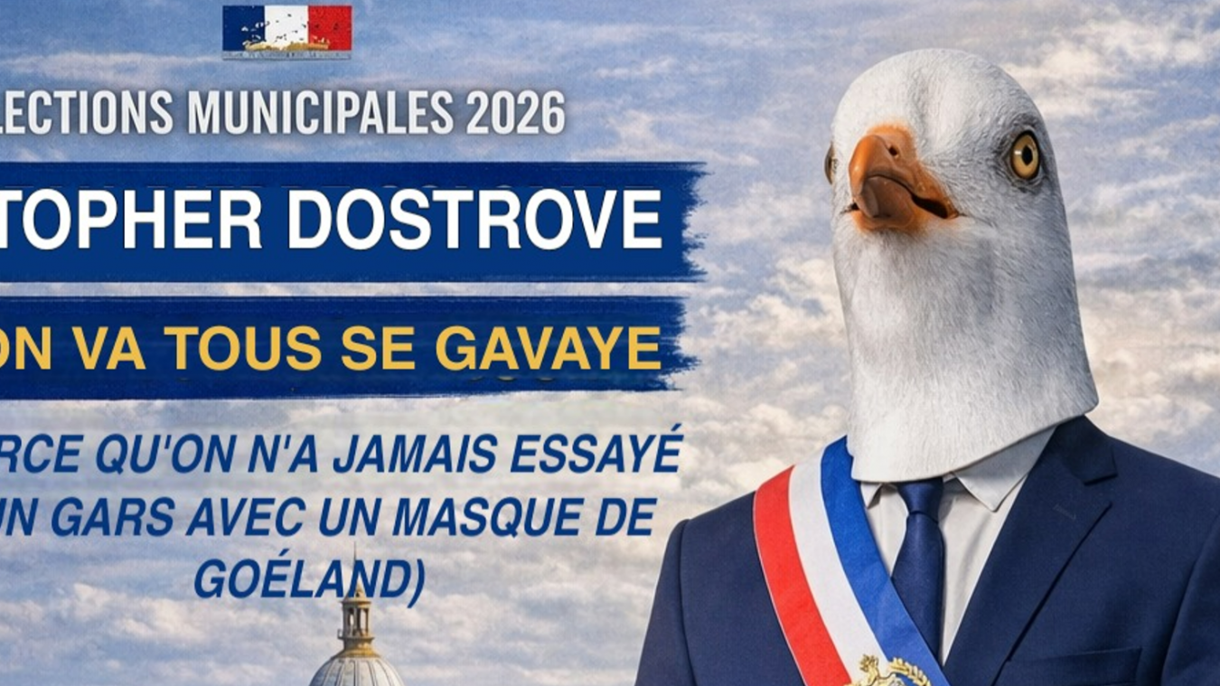 Un faux candidat à tête de goéland détourne les codes de la campagne municipale et fait sourire les réseaux sociaux.