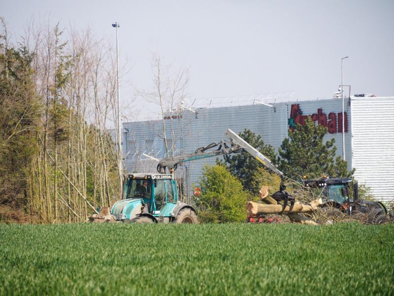 coquelles les migrants deloges pres de l ex conforama les arbres abattus dans la foulee
