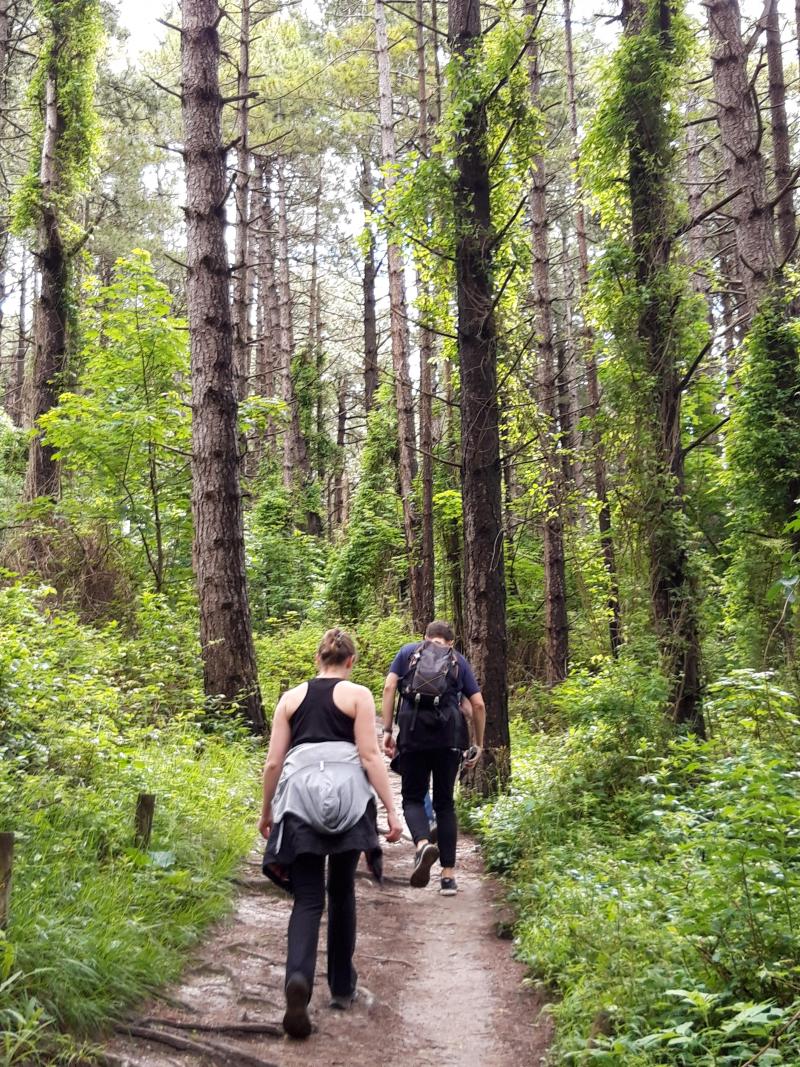 Randonnée dans la forêt dunaire du Mont-Saint-Frieux.