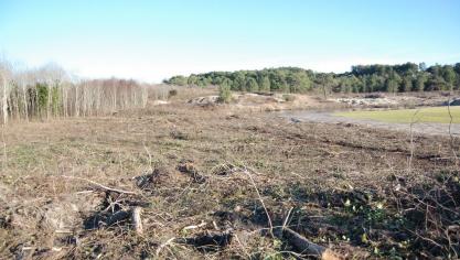 Golf de la mer du Touquet: la remise à l'état d'origine a été ordonnée