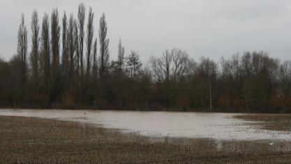 Wormhout : contre les inondations récurrentes, à quand des batardeaux ?