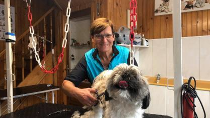 Chic Canin, à Bailleul, un toiletteur trentenaire