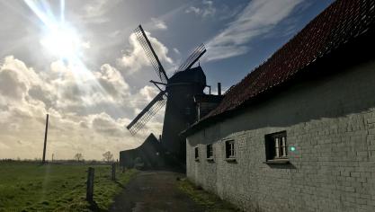 Terdeghem : découvrez l'unique moulin de pierre sur pivot de Flandre