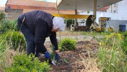 Dunkerque : la station des sens rate son printemps à cause du coronavirus