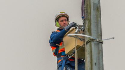 La Calotterie : un nichoir a été posé sur un poteau électrique (photos)