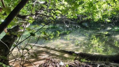 Dans l'Arrageois, mobilisation pour sauver l'eau