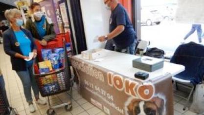 Cappelle-la-Grande : l'association Ioko vient au secours des animaux