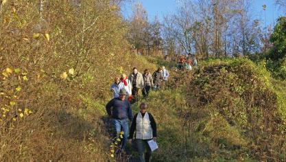 Des balades d'automne gourmandes à Busnes et Ligny-les-Aire