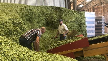 Capitale de la bière : la Flandre mérite-t-elle ce titre ? À vous de voter !