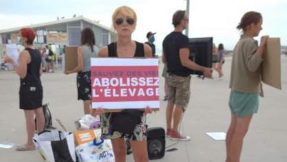Zégerscappel : Animal Vendetta, contre l'abattoir, manifestera