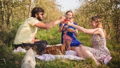 Un circuit pour visiter la Flandre avec ses papilles