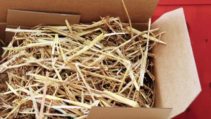 Merckeghem: des colis de Noël pour les aînés