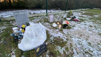 Entre Arras et Douai, 18 animaux reposent dans ce cimetière