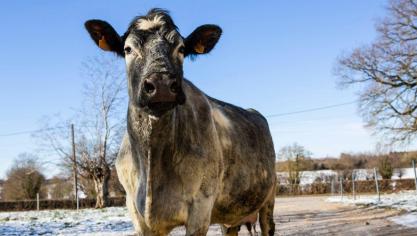 L'agriculture des Hauts-de-France s'offre un salon régional et virtuel