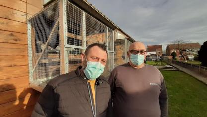 Auchel : les colombophiles auchellois s'inquiètent pour leur avenir