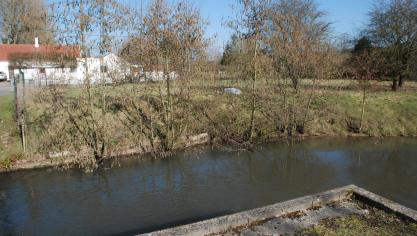 L'eau est attrayante mais aussi gênante à Wail