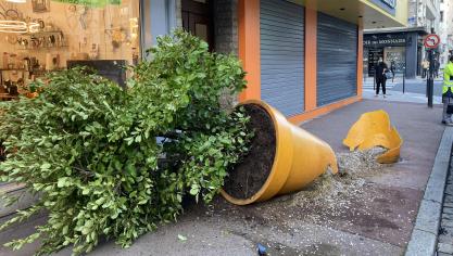 Boulogne-sur-Mer : un automobiliste renverse un pot de fleur