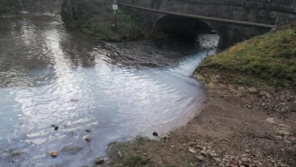 La Comté : 2 500 litres de lait s'écoulent dans la Lawe