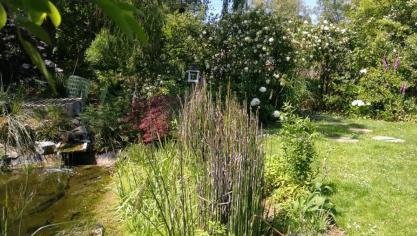 La Calotterie : réouverture du Jardin de la goutte d'eau ce week-end