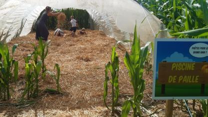 Les enfants ont adopté la piscine de paille.