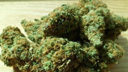 De l’héroïne, de la cocaïne et du cannabis ont été retrouvés dans la chambre d’hôtel.