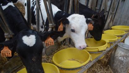 La partie pratique de la formation permettra aux candidats de travailler au sein d’une exploitation agricole.