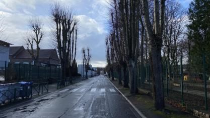 Boulevard Arago, une cinquantaine d’arbres seront retirés.