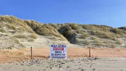 Le pied de dune fait partie des points de vigilance