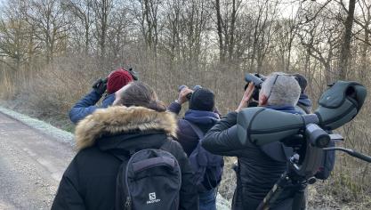 Jumelles et appareils photo à la main, les membres de la Crécerelle sont à l’affût du moindre chant d’oiseau.