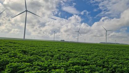 11 éoliennes composent le parc des Quintefeuilles.