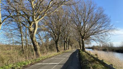 Les faits se sont déroulés route du Golf, le long du canal de Bergues, à Coudekerque-Branche.