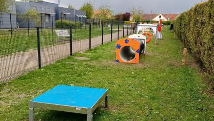 À Coudekerque-Branche, il existe cinq « cani parc ».