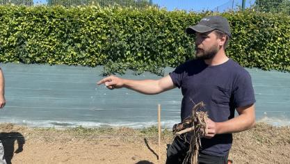Edouard Roussez, producteur de houblon bio, a retrouvé la variété flamande en République tchèque.